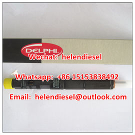 China Brand new genuine Delphi injector EJBR02801D, R02801D,33800-4X500,338004X500,33801 4X500,33801-4X510 Genuine HYUNDAI KIA supplier